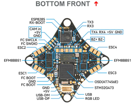 Bottom Front
