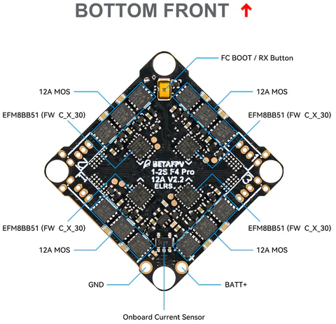 Bottom Front